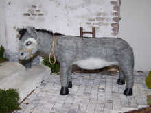 Lade das Bild in den Galerie-Viewer, Esel, gefilzt - Biblische Erzählfiguren