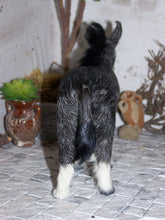 Lade das Bild in den Galerie-Viewer, Zubehörset "Im Krippenstall" - Biblische Erzählfiguren