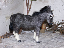 Lade das Bild in den Galerie-Viewer, Zubehörset "Im Krippenstall" - Biblische Erzählfiguren