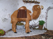 Lade das Bild in den Galerie-Viewer, Kamel, stehend, mit Satteltaschen - Biblische Erzählfiguren