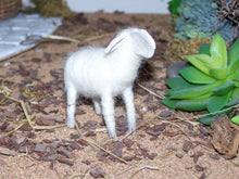 Lade das Bild in den Galerie-Viewer, Schafe, aus reiner Wolle, handgefilzt - Biblische Erzählfiguren