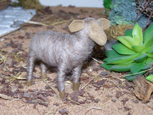 Lade das Bild in den Galerie-Viewer, Schafe, aus reiner Wolle, handgefilzt - Biblische Erzählfiguren