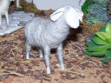 Lade das Bild in den Galerie-Viewer, Schafe, aus reiner Wolle, handgefilzt - Biblische Erzählfiguren