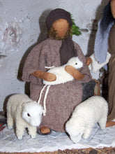 Lade das Bild in den Galerie-Viewer, Krippenset Hirten 5- Biblische Erzählfiguren