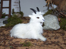 Lade das Bild in den Galerie-Viewer, Stalltiergruppe - Biblische Erzählfiguren