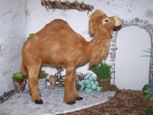 Lade das Bild in den Galerie-Viewer, Kamel groß, stehend, Felltier - Biblische Erzählfiguren