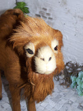 Lade das Bild in den Galerie-Viewer, Kamel groß, stehend, Felltier - Biblische Erzählfiguren