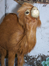 Lade das Bild in den Galerie-Viewer, Kamel groß, stehend, Felltier - Biblische Erzählfiguren