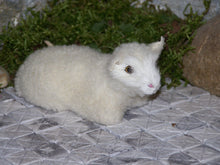 Lade das Bild in den Galerie-Viewer, Stalltiergruppe - Biblische Erzählfiguren