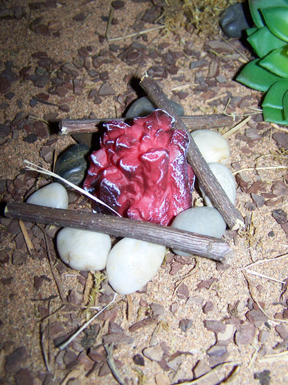 Zubehörset "Lagerfeuer" - Biblische Erzählfiguren