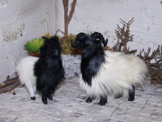 Schwarzweißes Ziegenpaar, stehend - Biblische Erzählfiguren