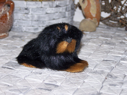 Hund 1 - Biblische Erzählfiguren