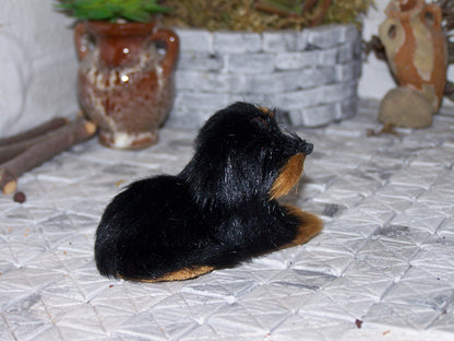 Hund 1 - Biblische Erzählfiguren