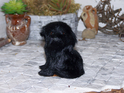 Hund 5 - Biblische Erzählfiguren