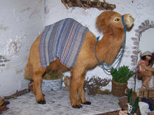 Lade das Bild in den Galerie-Viewer, Kamel groß, stehend, Felltier - Biblische Erzählfiguren
