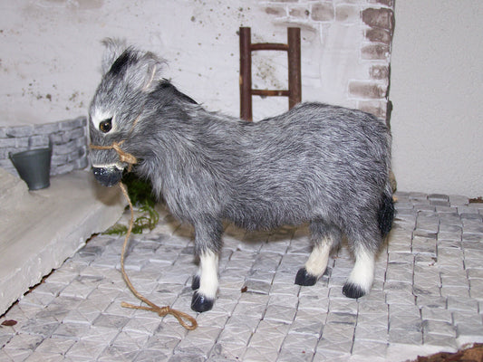 Esel, Felltier, mit und ohne Beladung- Biblische Erzählfiguren