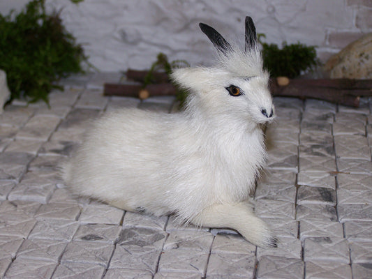 Weiße Ziege, liegend - Biblische Erzählfiguren