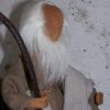 Mose/Abraham/Hirte - Biblische Erzählfiguren